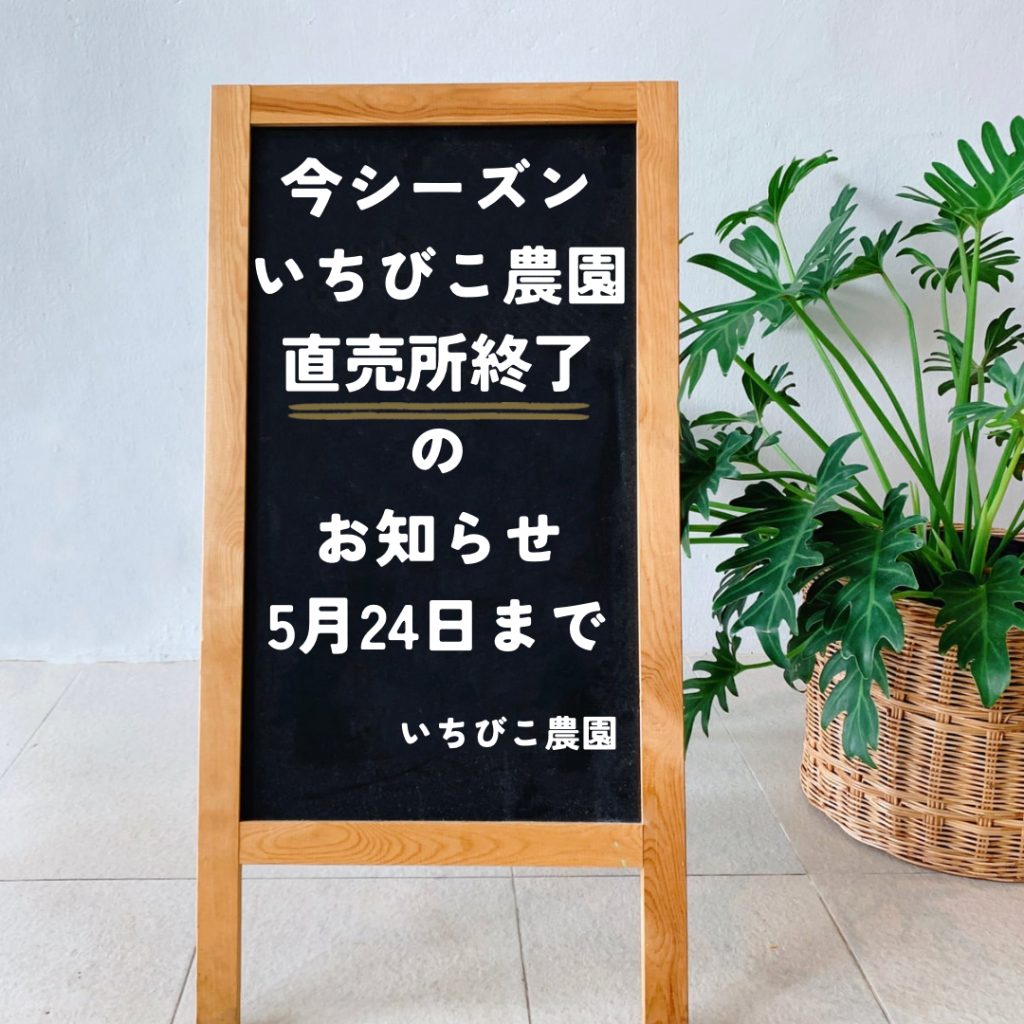 今シーズンいちびこ農園直売所終了のお知らせ