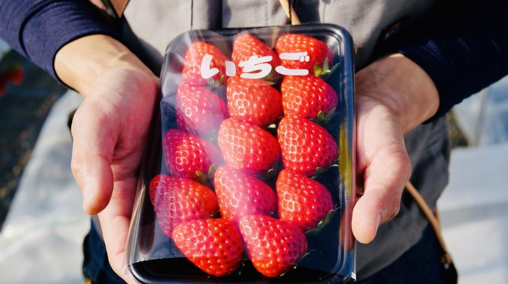 12月20日～25日までの予約受付終了のお知らせ