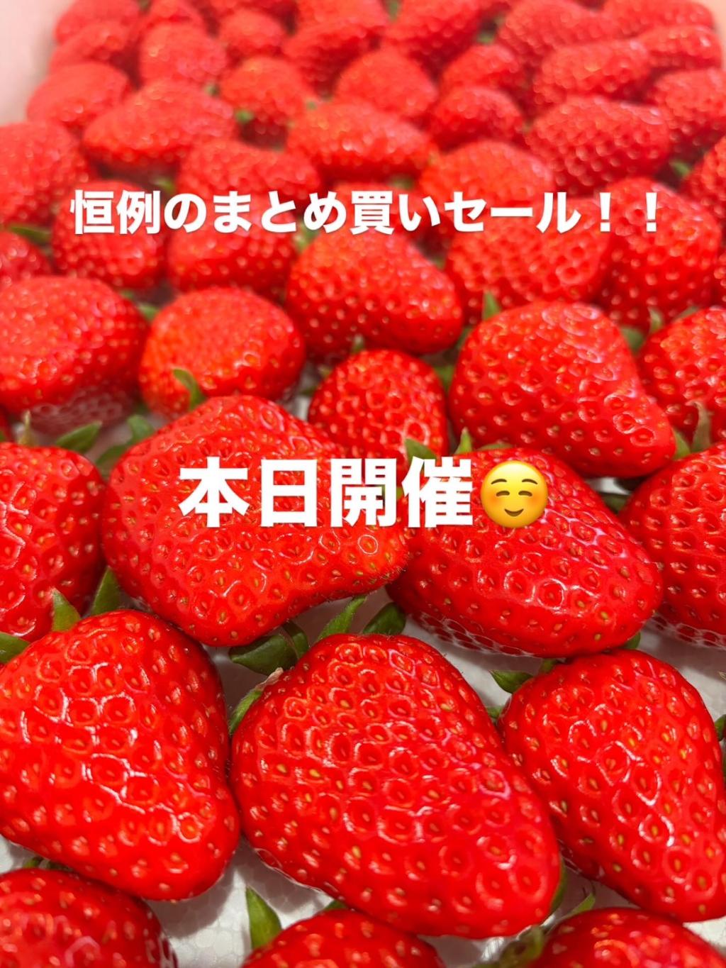 本日開催！まとめ買いセール♪♪