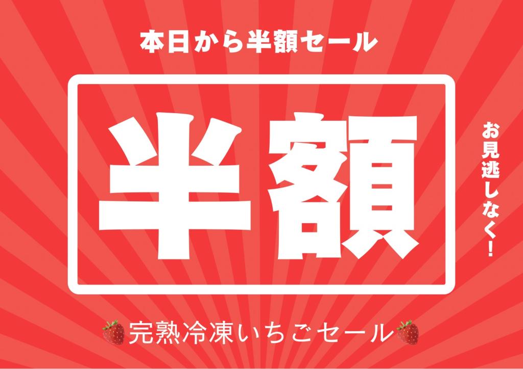 冷凍いちご半額セール開催！！