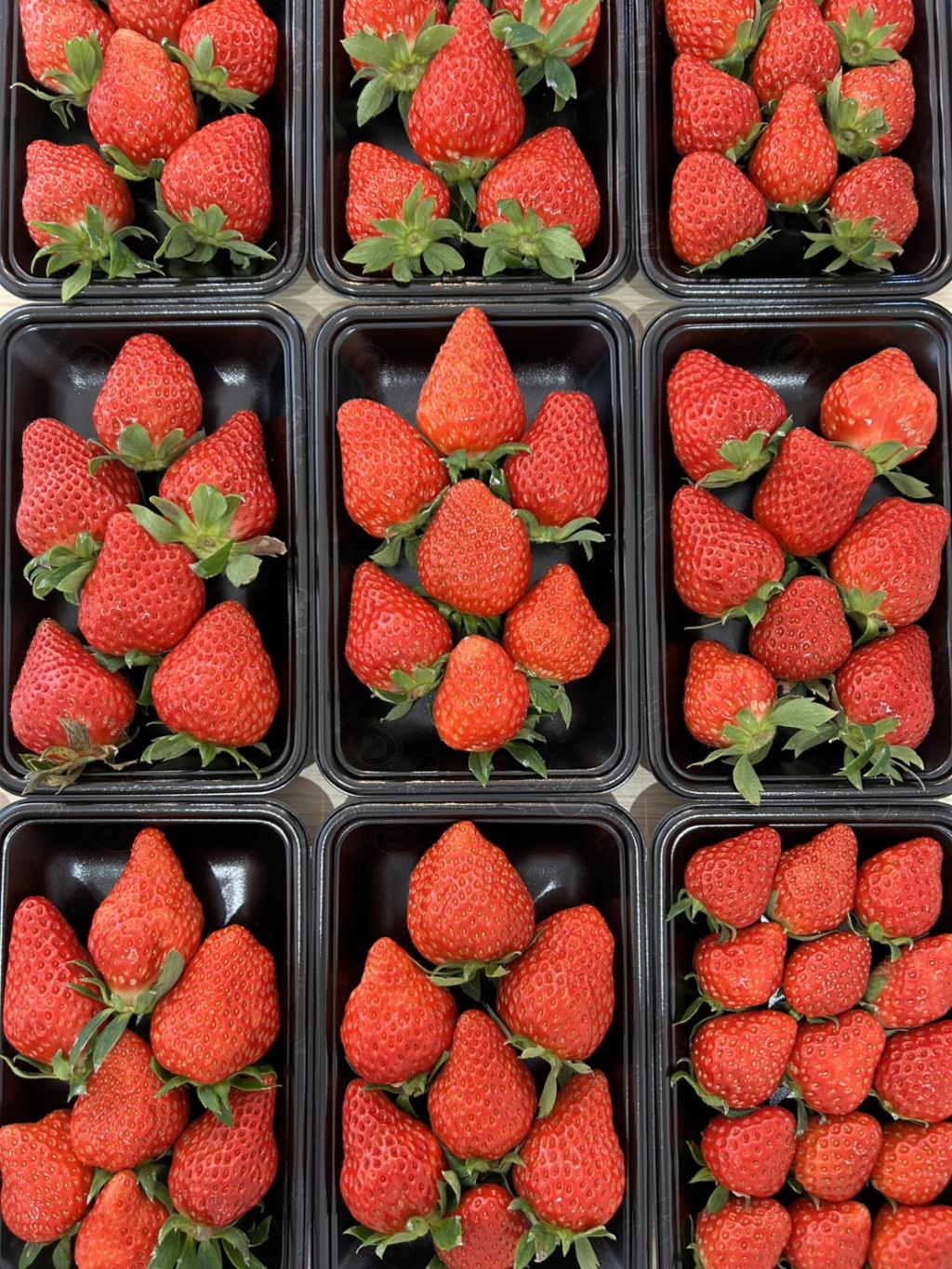 いちびこ農園、season4！！いよいよグランドＯＰＥＮ！！！