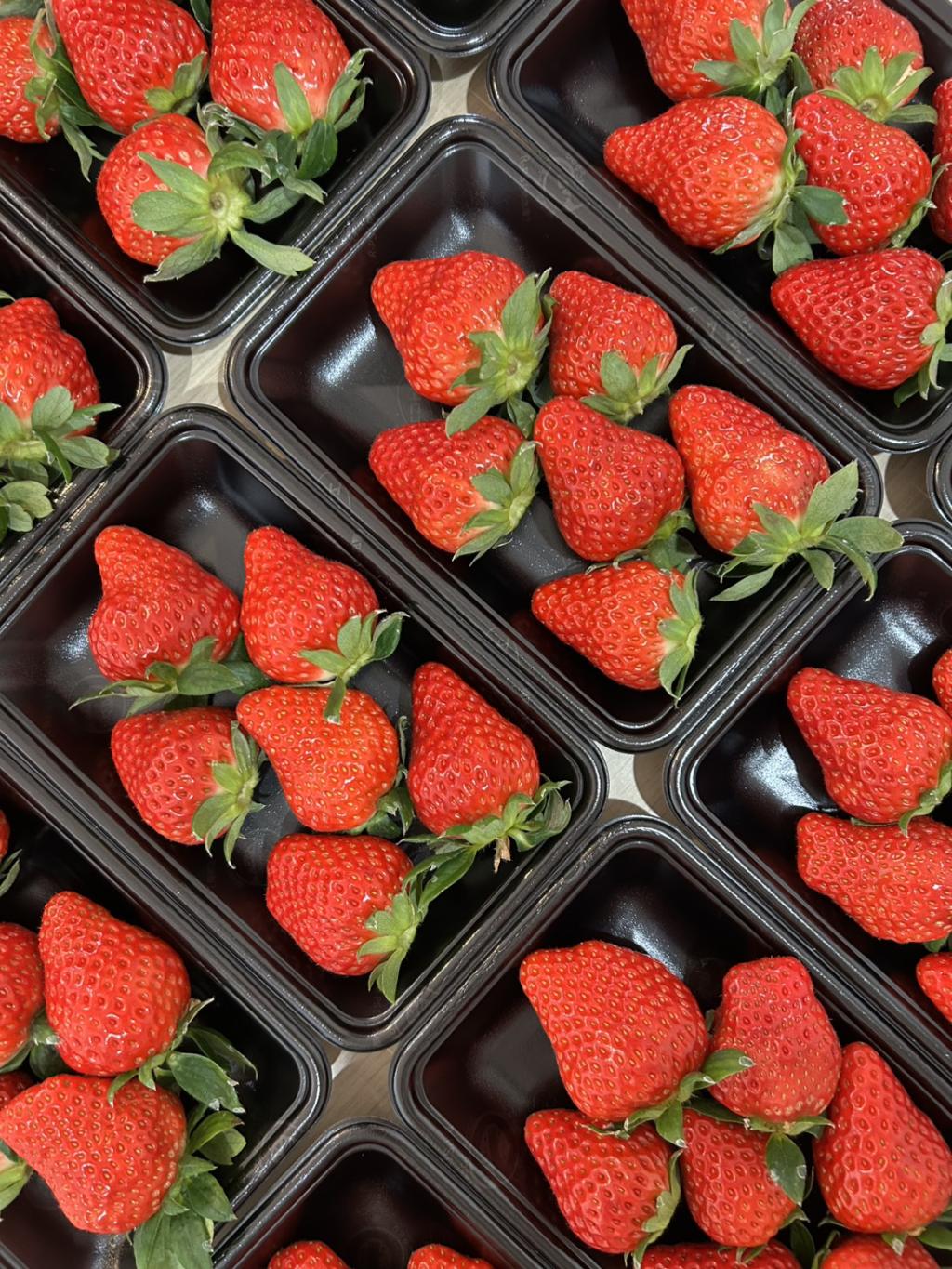 12/22!!クリスマスセール開催♪