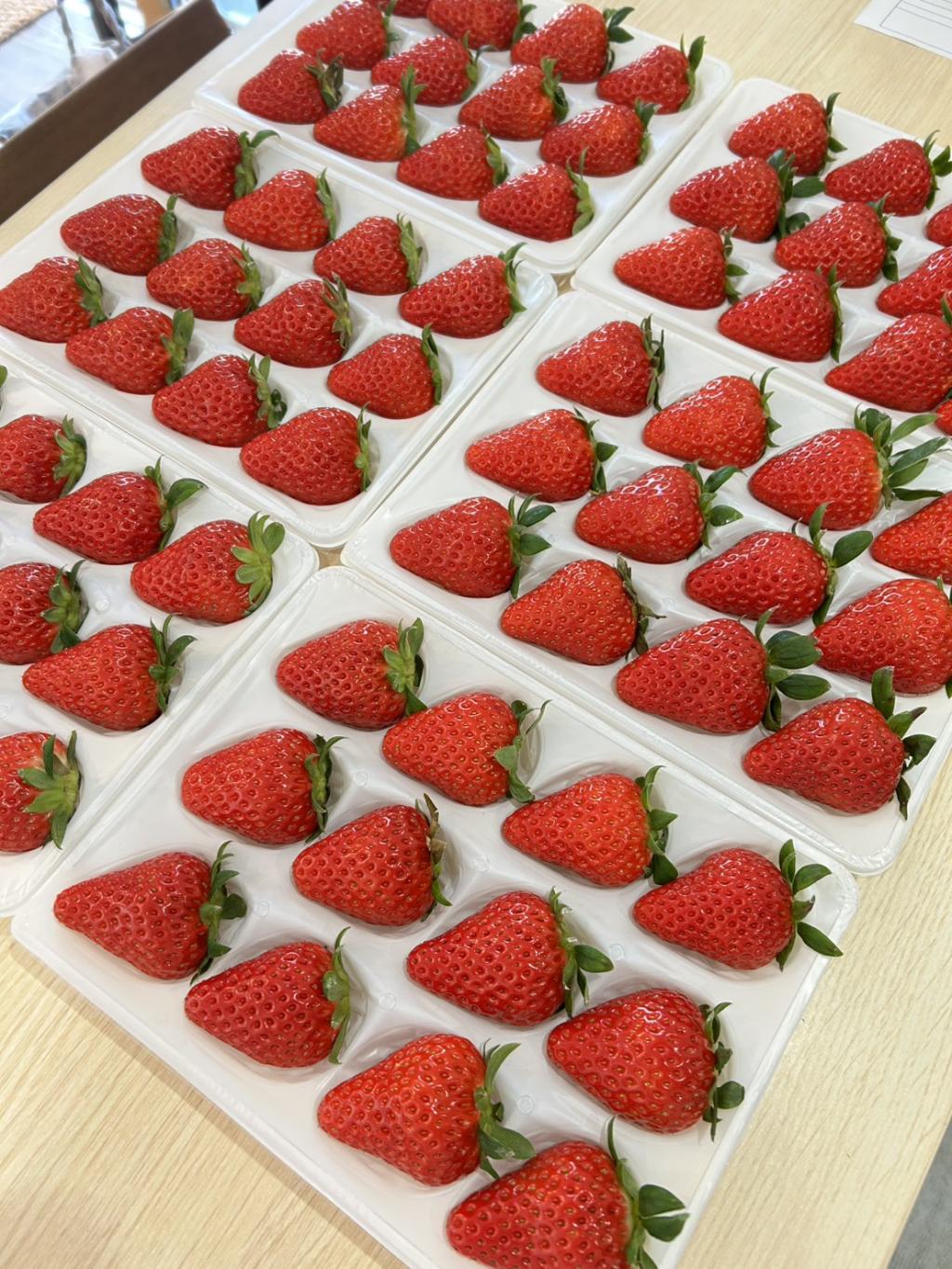 明けましておめでとうございます。