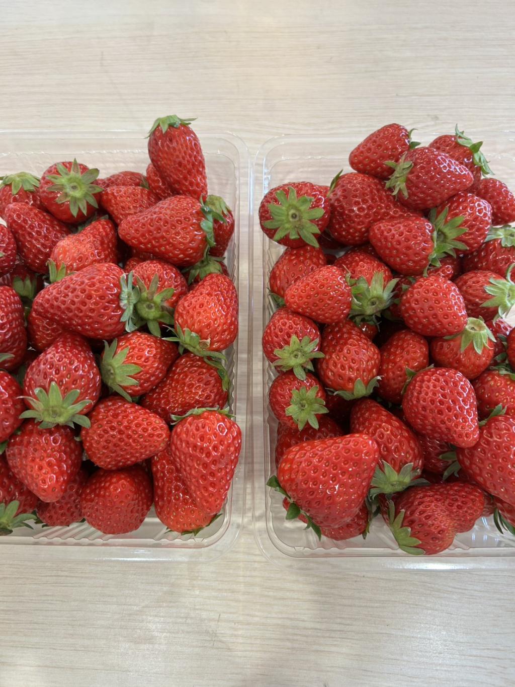またまた本日限定！！完熟加工用いちご販売中！！！